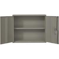 Armoire murale, Acier, 2 Tablettes, 30" h x 36" la x 12" P, Gris Les Distributions ICE