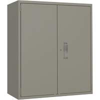Armoire de rangement Lo-Boy, Acier, 2 Tablettes, 40" h x 36" la x 18" P, Gris Les Distributions ICE
