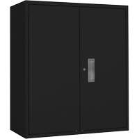 Armoire de rangement Lo-Boy, Acier, 2 Tablettes, 42" h x 36" la x 18" P, Noir Les Distributions ICE