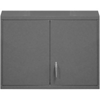 Armoire murale, 27" h x 29-7/8" la x 13-11/16" p, 2 tablettes, Acier, Gris Les Distributions ICE
