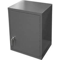 Armoire murale, 27" h x 13-11/16" la x 18" p, 2 tablettes, Acier, Gris Les Distributions ICE