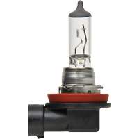 Ampoule de base pour feu avant H8, Halog&egrave;ne, 35 W, Blanc cass&eacute; Les Distributions ICE