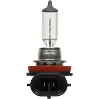 Ampoule de base pour feu avant H8, Halog&egrave;ne, 35 W, Blanc cass&eacute; Les Distributions ICE