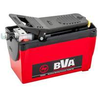 Single Acting 2-Speed Air Pump 122.1 in³ Reservoir Les Distributions ICE