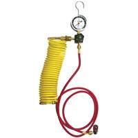 Automotive A/C Nitrogen Leak Test Kit with Regulator Les Distributions ICE