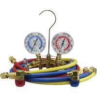 Automotive Manifold Gauge Set with Economy Couplers Les Distributions ICE