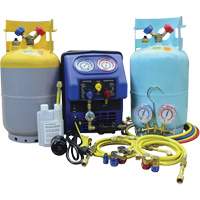 Ensemble complet de r&eacute;cup&eacute;ration pour climatisation R134A/R1234Yf Les Distributions ICE