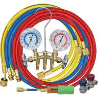 Manifold Gauge Set with Manual Couplers & Mini Dye Injector Les Distributions ICE