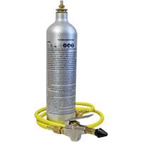 A/C System Flush Kit Les Distributions ICE