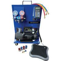 Poste de recharge &eacute;lectronique portable double &agrave; 1 phase R134A/R1234Yf Les Distributions ICE