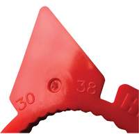 Indicateur d'&eacute;crous de tailles multiples desserr&eacute;s HexChex Les Distributions ICE
