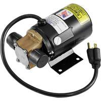 Low Profile Truck Drain with Electric Pump Les Distributions ICE