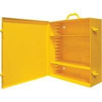 Armoire murale pour le contr&ocirc;le des d&eacute;versements Les Distributions ICE