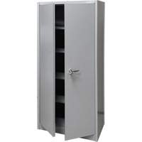 Armoire de rangement, Acier, 4 Tablettes, 66" h x 30" la x 15" P, Gris Les Distributions ICE