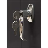 Armoire d'entreposage, Acier, 4 Tablettes, 66" h x 30" la x 15" P, Noir Les Distributions ICE