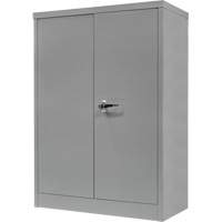 Armoire de rangement &agrave; hauteur de comptoir, Acier, 2 Tablettes, 42" h x 30" la x 15" P, Gris Les Distributions ICE