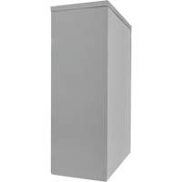 Armoire de rangement &agrave; hauteur de comptoir, Acier, 2 Tablettes, 42" h x 30" la x 15" P, Gris Les Distributions ICE