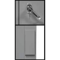 Armoire de rangement &agrave; hauteur de comptoir, Acier, 2 Tablettes, 42" h x 30" la x 15" P, Gris Les Distributions ICE