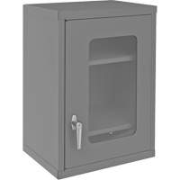 Wall-Mountable Storage Cabinet with Clearview Doors, 26-15/16" H x 18-1/8" W x 13-11/16" D, 2 Shelves, Steel, Grey Les Distributions ICE