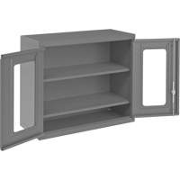 Wall-Mountable Storage Cabinet with Clearview Doors, 26-15/16" H x 29-7/8" W x 13-11/16" D, 2 Shelves, Steel, Grey Les Distributions ICE