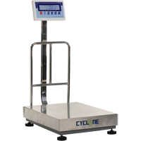 Balance &agrave; plateforme et d'&eacute;tabli Cyclone 300, Capacit&eacute; de 600 lb / 300 kg, 17-3/4" lo x 23-3/5" la Les Distributions ICE