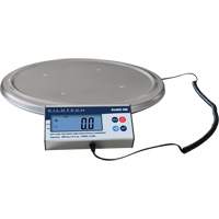 Balance pour tonneau, Capacit&eacute; de 200 kg Les Distributions ICE