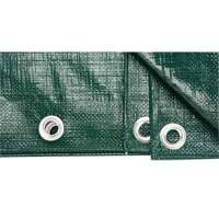 Tarp, Heavy-Duty, Green, 8' x 6' x 9 mils Les Distributions ICE