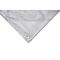 Tarp, Super Heavy-Duty, Silver, 10' x 8' x 12 mils Les Distributions ICE