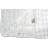 Clear Tarp, 60' x 40' x 8 mils Les Distributions ICE