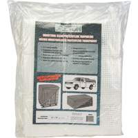 Clear Tarp, 60' x 40' x 8 mils Les Distributions ICE