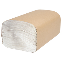 Everest Pro Singlefold Hand Towels, 1 Ply, 10-1/4" L x 9-1/4" W, 250 /Pack Les Distributions ICE