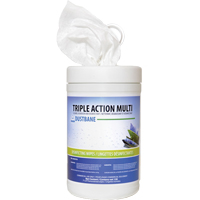 Triple Action Multi Disinfecting Wipes, 7" x 8", 120 Count Les Distributions ICE