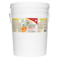 Nettoyant neutre, 20 L, Seau Les Distributions ICE