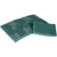 Scrubber Pad, 3" L x 4-1/2" W Les Distributions ICE
