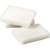 Scotch-Brite Light Duty Scrubbing Pad, 5" L x 3-1/2" W Les Distributions ICE