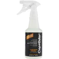 Workwear & Footwear Odour Destroyer Les Distributions ICE