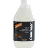 Workwear & Footwear Odour Destroyer Les Distributions ICE