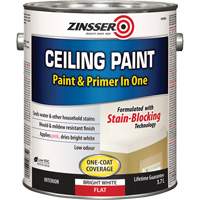 Peinture et appr&ecirc;t pour plafond en un seul produit, Blanc, Tr&egrave;s mat, 3,78 L, Gallon Les Distributions ICE