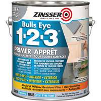 Appr&ecirc;t &agrave; base d'eau Bulls Eye 1-2-3, 3,78 L, Gallon, Gris Les Distributions ICE