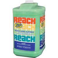 Nettoyant extra puissant pour les mains Reach, Pierre ponce, 3,78 L, Cruche, Parfum&eacute; Les Distributions ICE