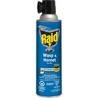 Insecticide contre les gu&ecirc;pes et les frelons Raid, 400 g, &agrave; base de solvant Les Distributions ICE