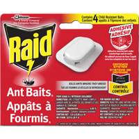 App&acirc;ts &agrave; fourmis Raid, 5" lo x 6" la x 1" h Les Distributions ICE