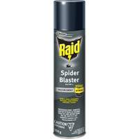 Insecticide exterminateur daraign&eacute;es Raid, 350 g, Canette a&eacute;rosol, &agrave; base de solvant Les Distributions ICE