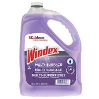 Windex&reg; Non-Ammoniated Multi-Surface Cleaner, 3.8 L, Jug Les Distributions ICE