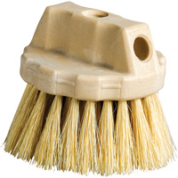 Round Cleaning Brush, 5" L, Tampico Bristles, Beige Les Distributions ICE