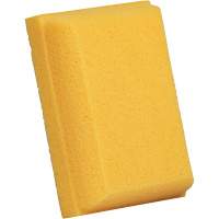 &eacute;ponge &agrave; coulis, Coulis, 5" la x 7" l Les Distributions ICE