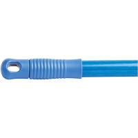 Manche, Fibre de verre, Pointe Connexion rapide, 1" dia, 60" lo Les Distributions ICE