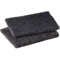 Scotch-Brite Griddle Polishing Pad, 4" L x 5" W Les Distributions ICE