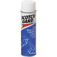 Carpet Spot Remover and Upholstery Cleaner, 17 oz., Aerosol Can Les Distributions ICE