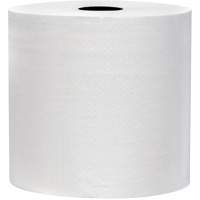 Snow Soft TAD Premium Hand Towel Rolls, 2 Ply, Standard, 700' L Les Distributions ICE